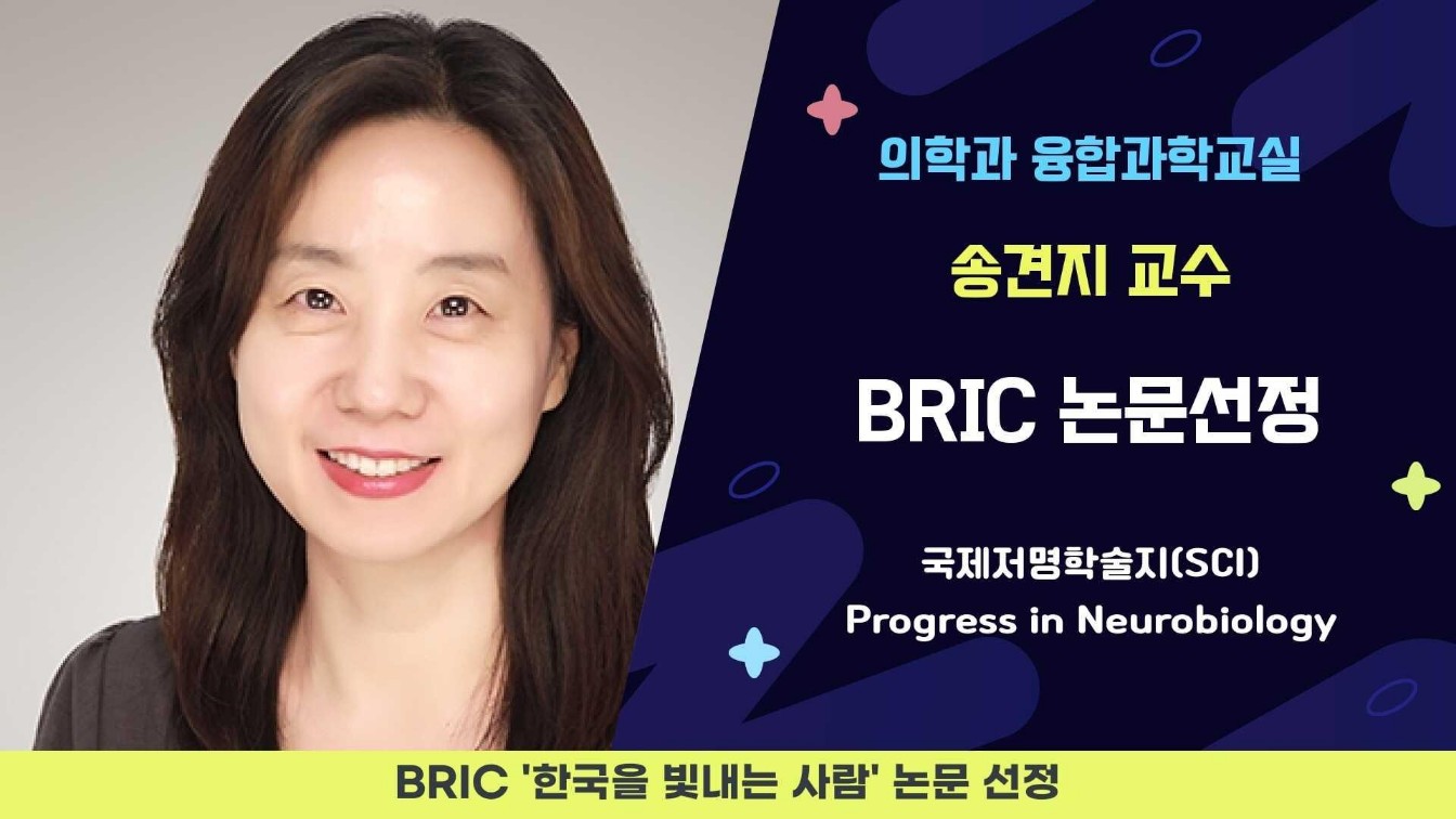 의학과 융합과학교실 송견지 교수,  BRIC ‘한국을 빛내는 사람’ 논문 선정  대표이미지
