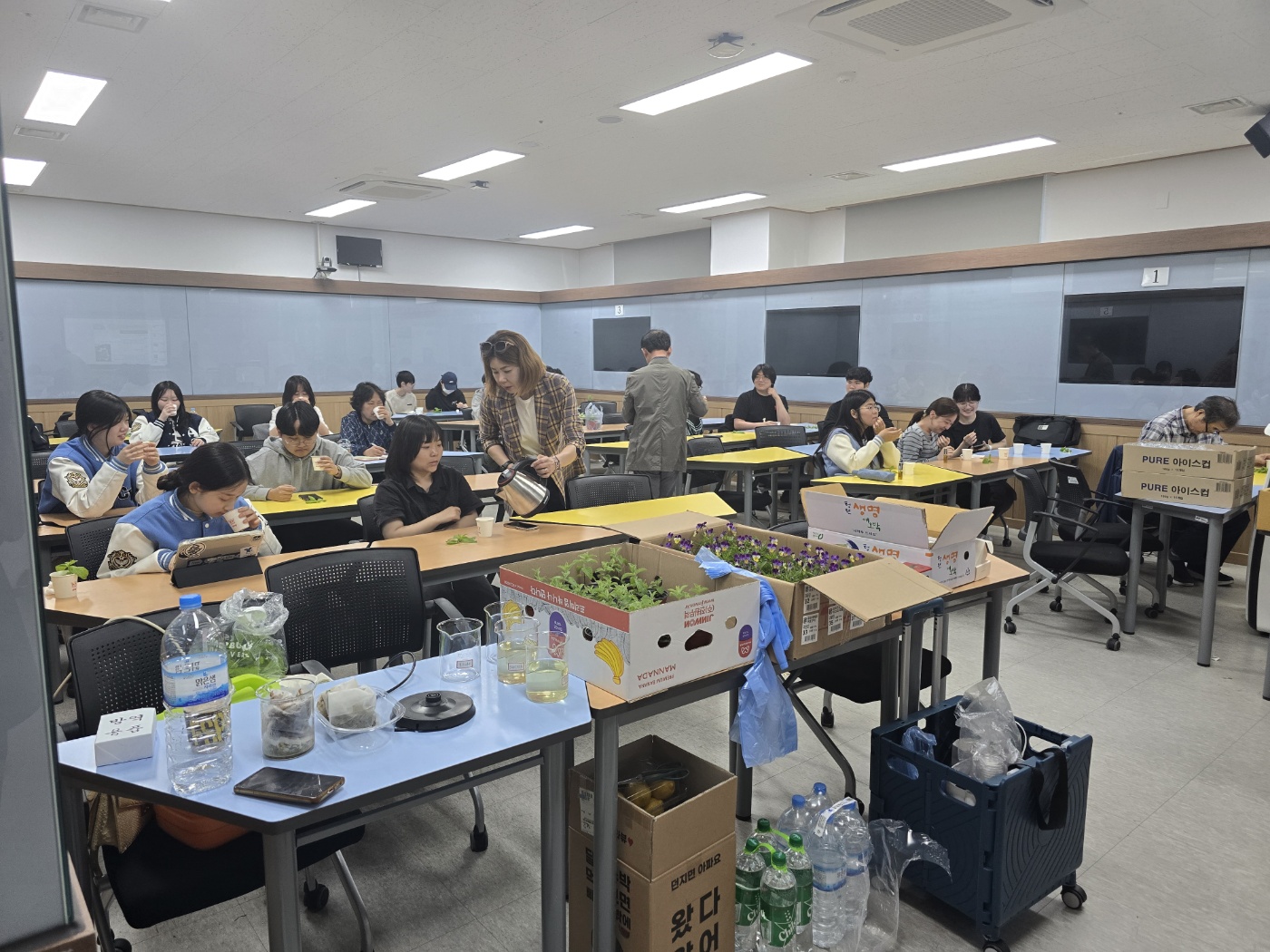반려식물 with 허브티 힐링 대표이미지
