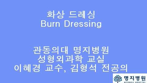 1. 화상 드레싱(제작 담당 : 이혜경 교수) 대표이미지